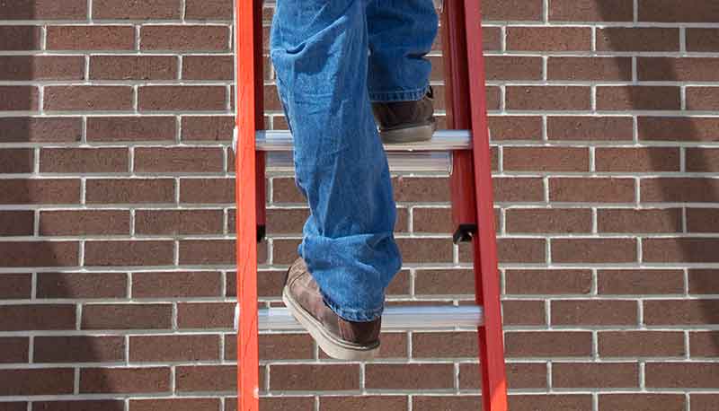 Climbing ladder