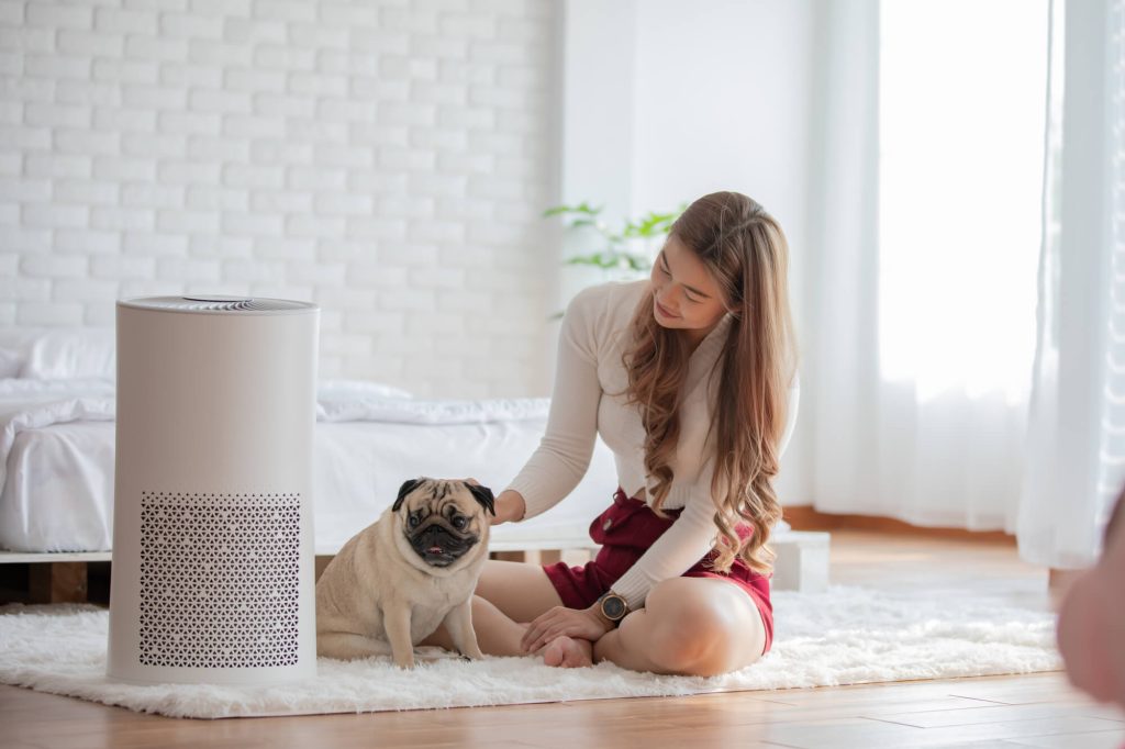 hypoallergenic home