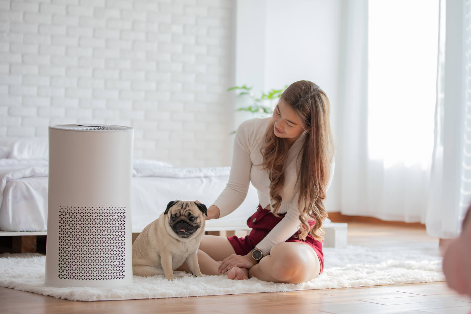 hypoallergenic home