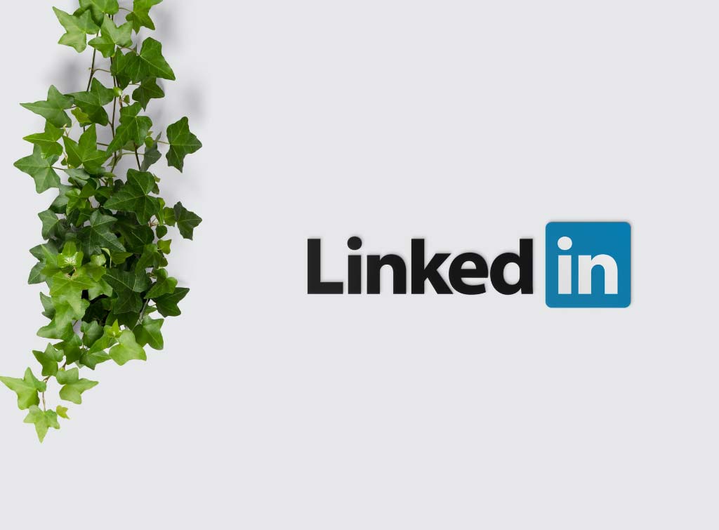LinkedIn for inspectors