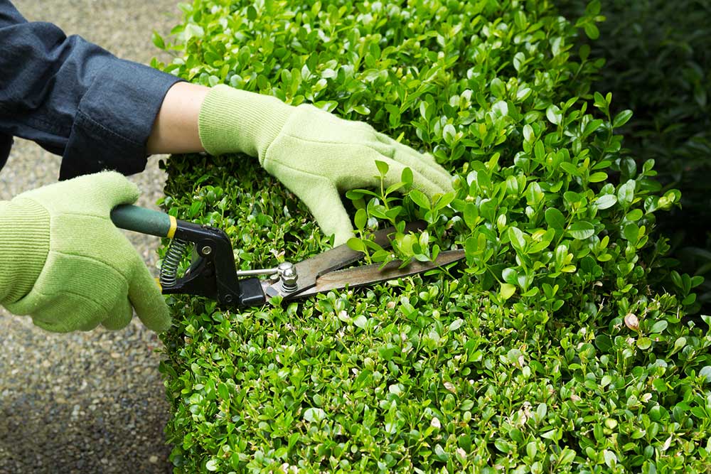 improve curb appeal when selling your home
