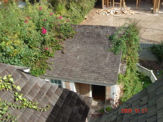 Wood roofs